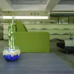 Boryana 호텔