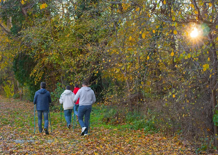 Boryana מלון אלבנה