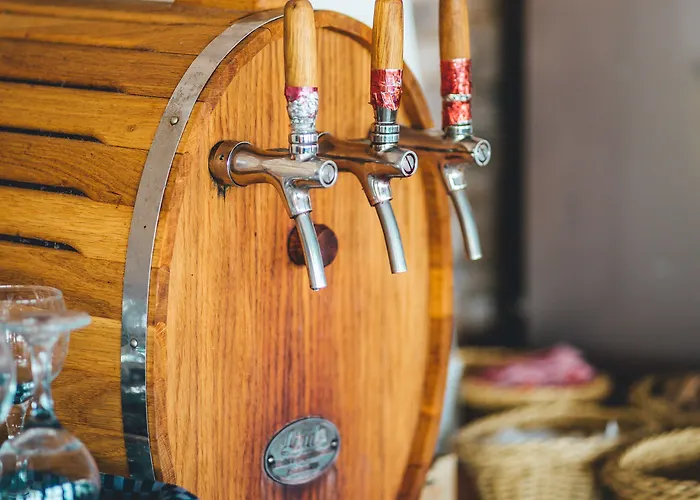 מלון Boryana אלבנה