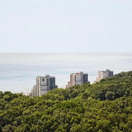 Boryana 호텔